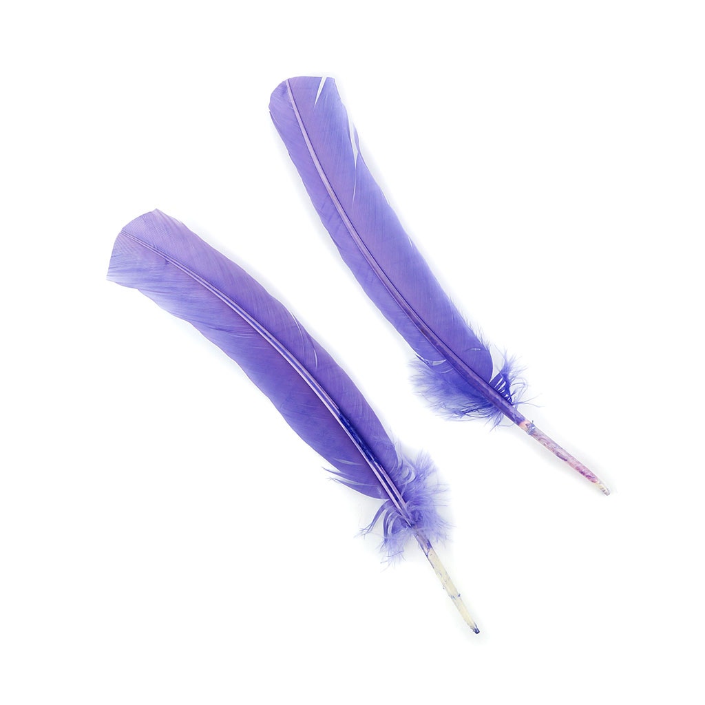 Turkey Quills Dyed Feathers Lavender