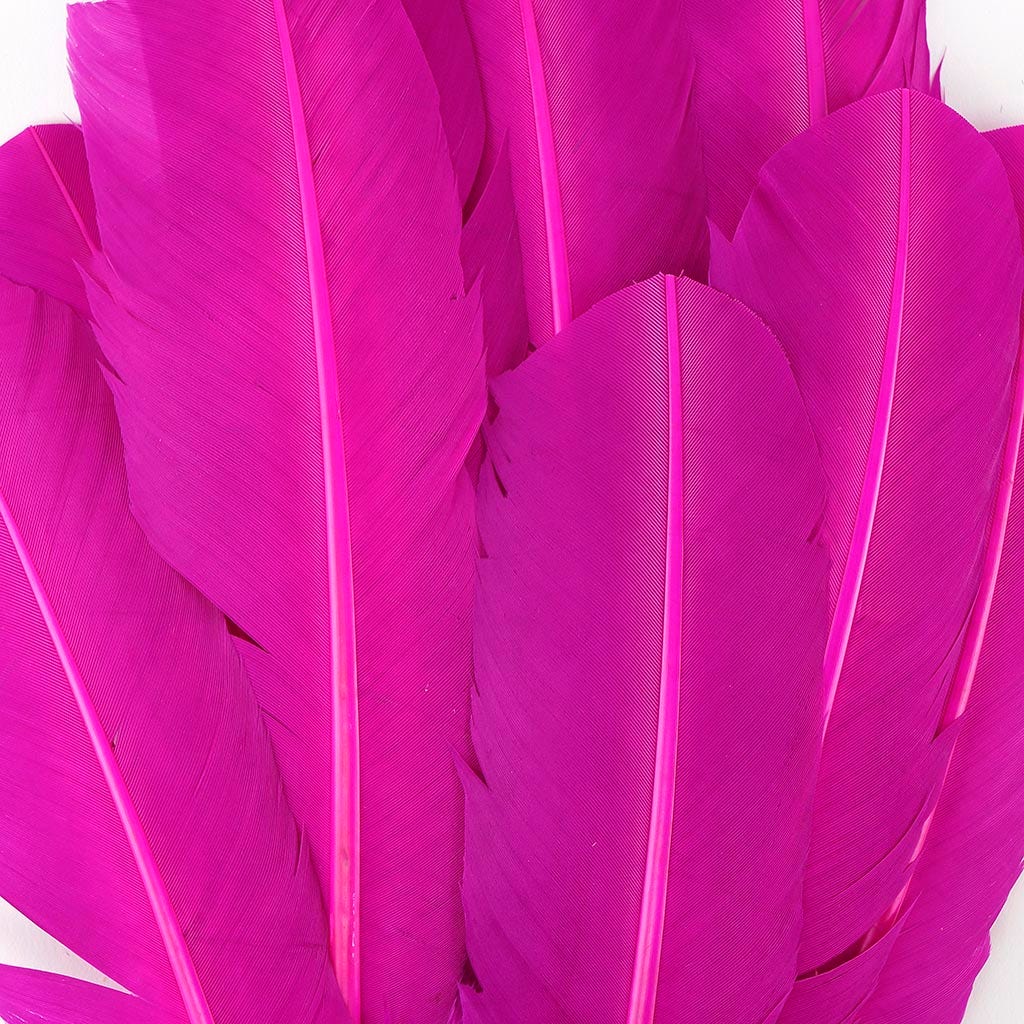 Turkey Quills by Pound -  Left Wing - Very Berry