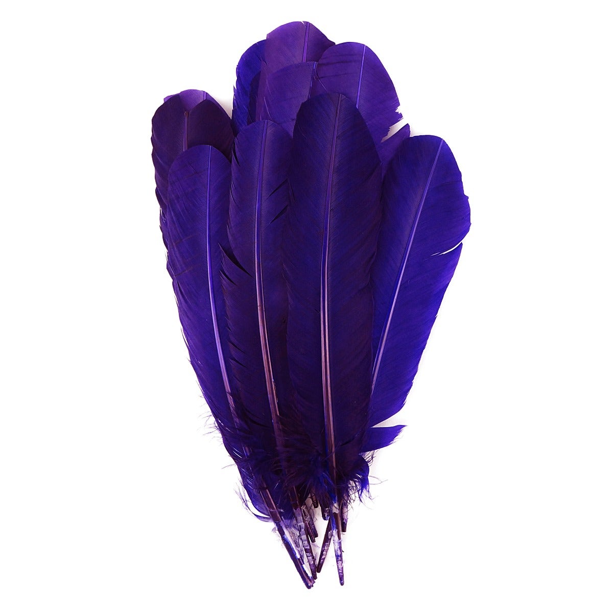 4 PC PKG Turkey Quills Dyed Feathers 10-12" - Regal