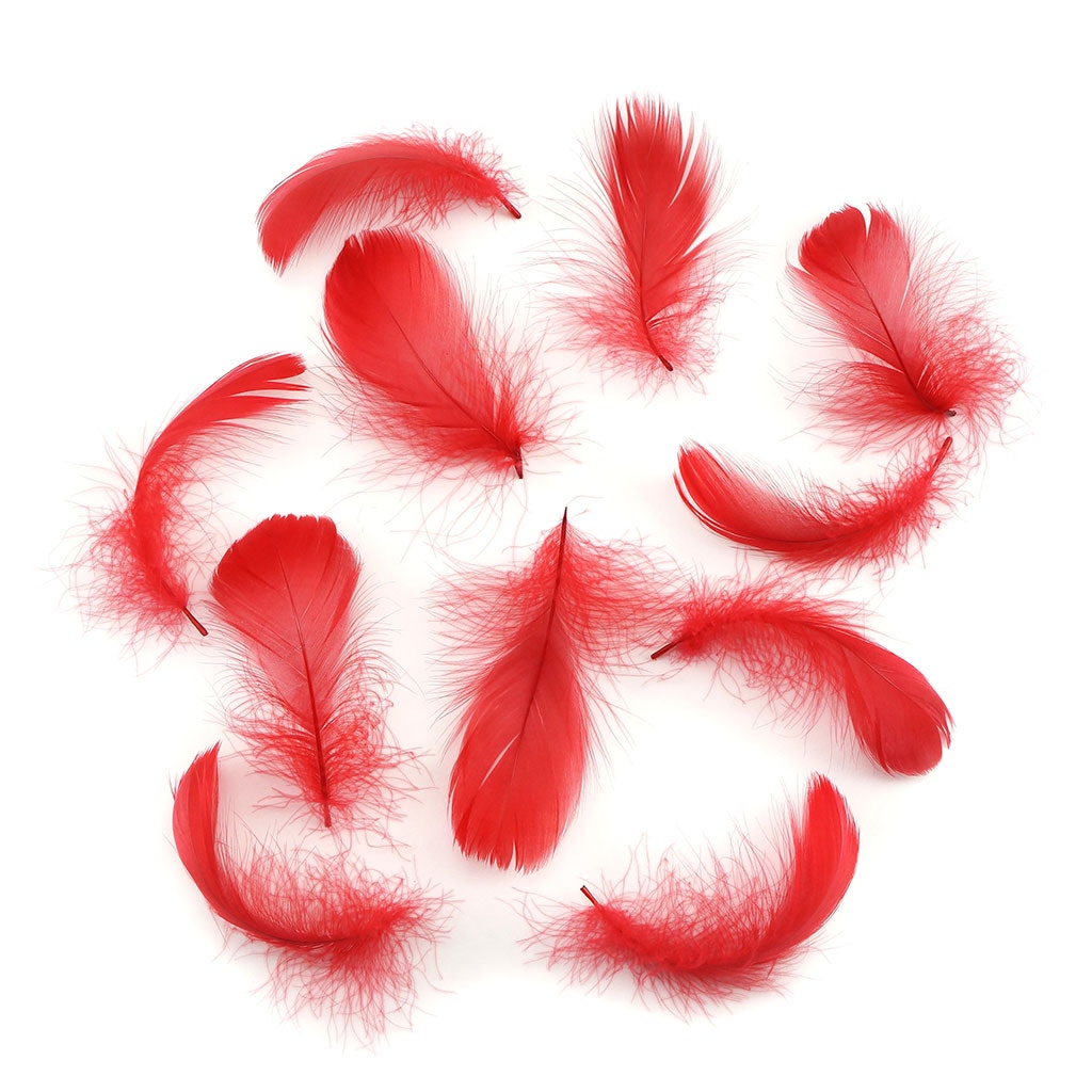 Bulk Goose Coquille Feathers Dyed - Red - 1/4 lb