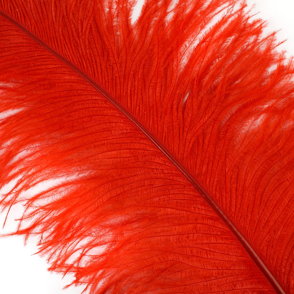 Large Ostrich Feathers - 24-30" Prime Femina Plumes - Red