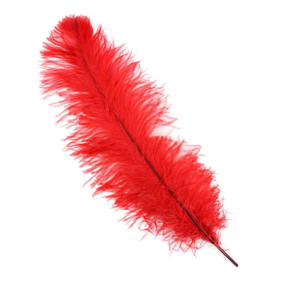 Ostrich Feathers-Damaged Femina - Red
