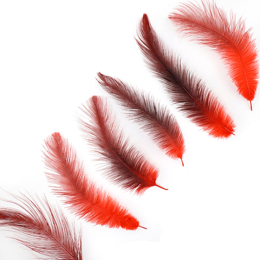 Rhea Tail Feathers Selected - Red