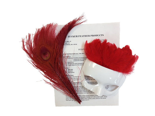 DIY Mask Kits-Assorted Feathers - Red