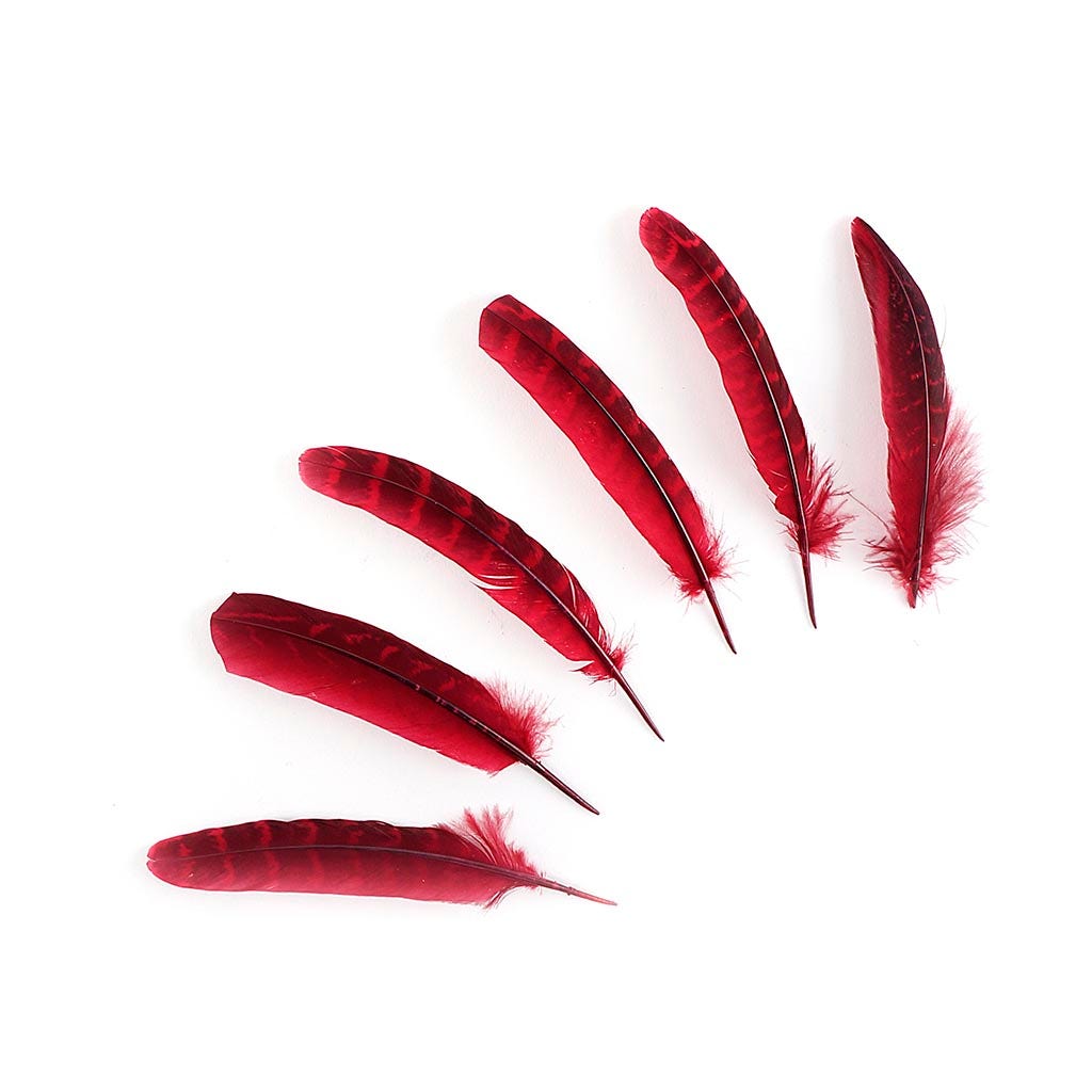 Pheasant Tail Feathers Dyed - Tango Red