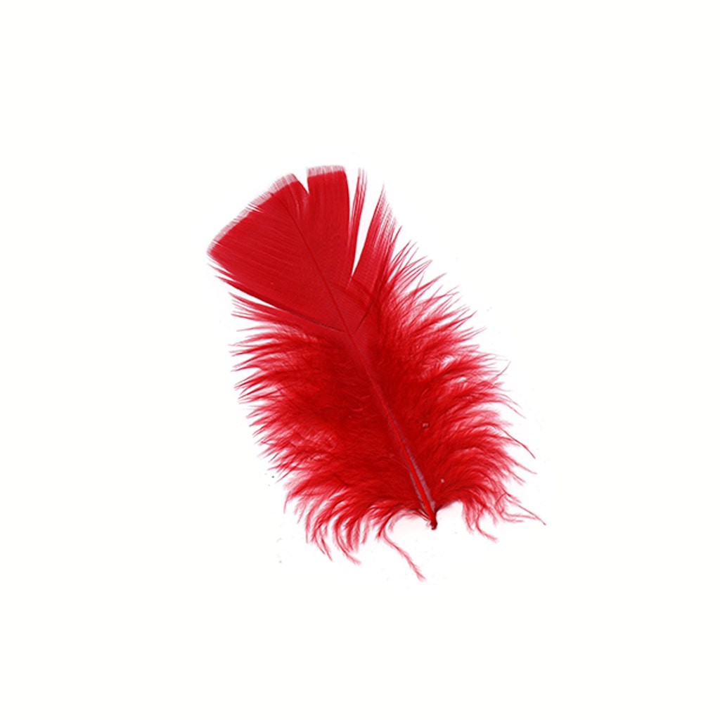 Loose Turkey Plumage Feathers - 0.5 oz - Red
