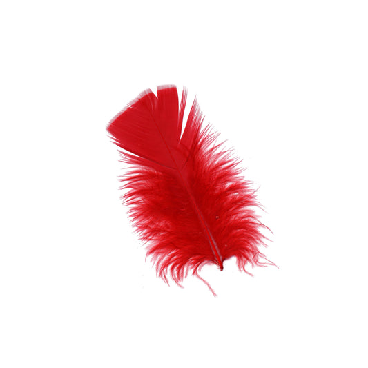 Loose Turkey Plumage Feathers - Red