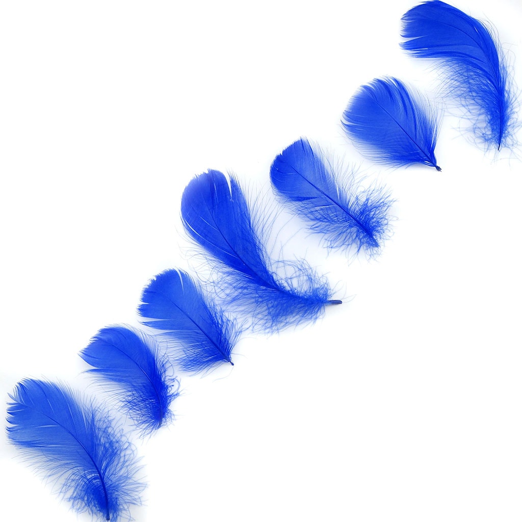 Bulk Goose Coquille Feathers Dyed - Royal - 1/4 lb