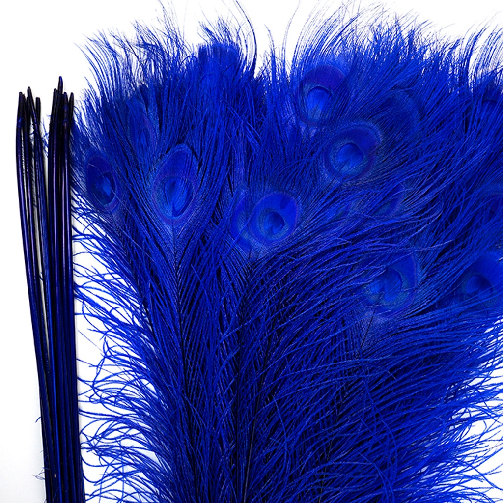 Peacock Tail Eyes Bleached Dyed - Royal