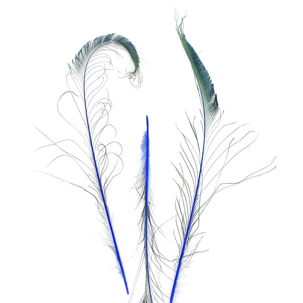 Bulk Peacock Sword Feathers Stem Dyed - 100 pc - 25-40" - Royal