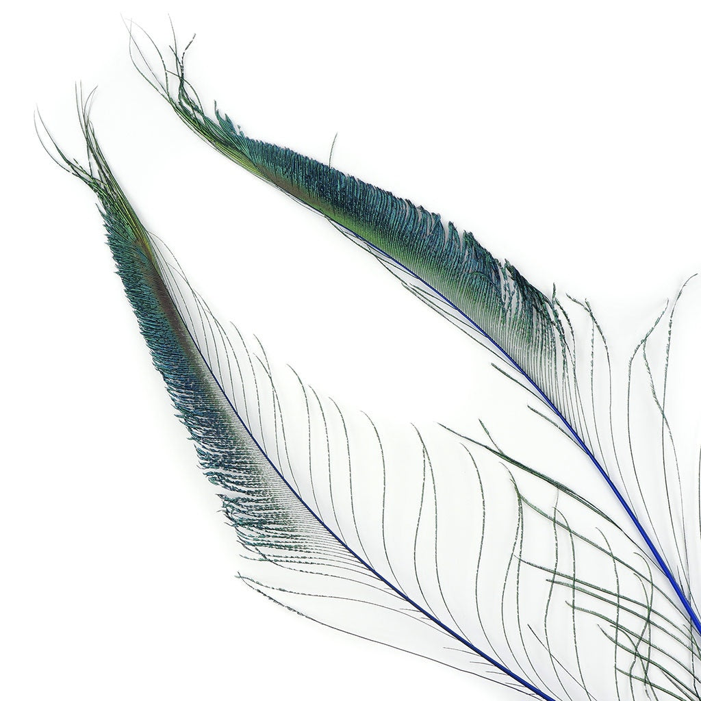 Royal Blue Marabou Feathers (5to 6)