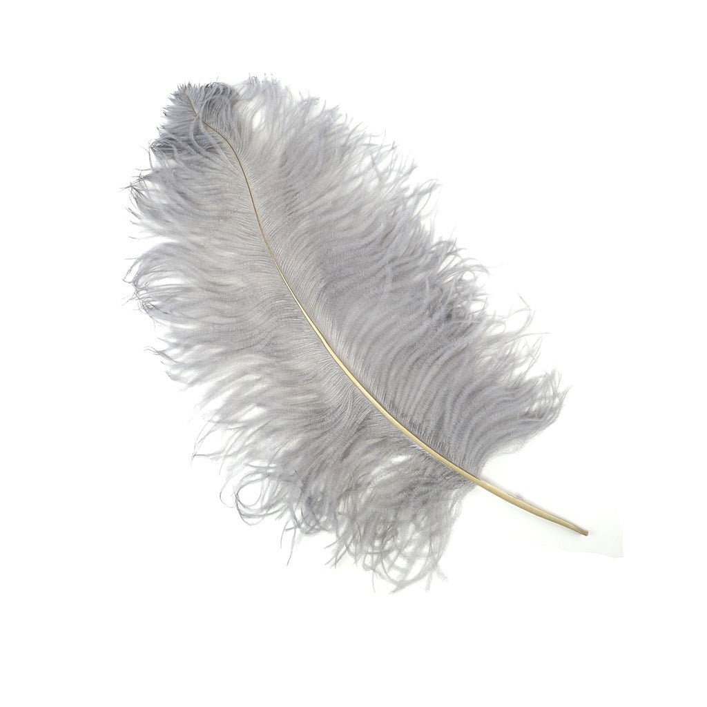 Large Ostrich Feathers - 20-25" Prime Femina Plumes - Silver