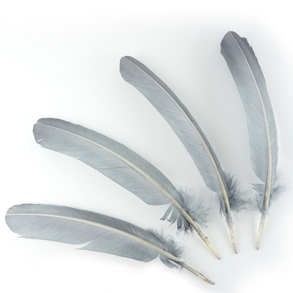 Turkey Quills Dyed Feathers - Silver