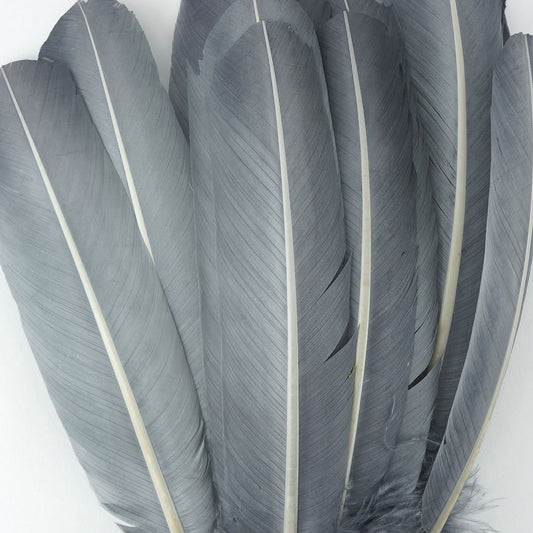 Turkey Quills Dyed Feathers - Silver