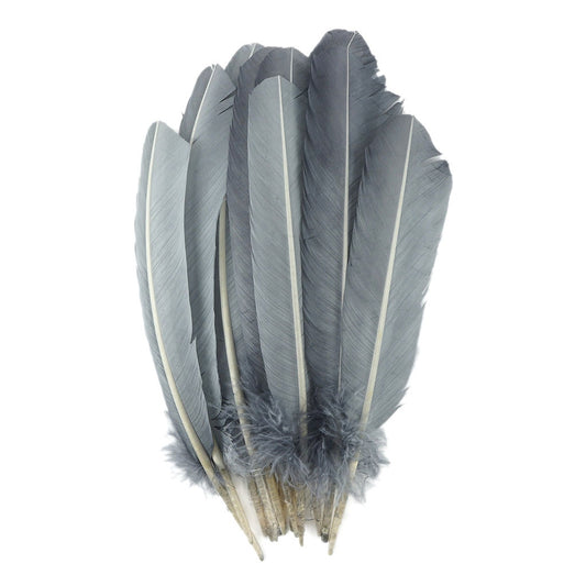 Turkey Quills Selected Silver