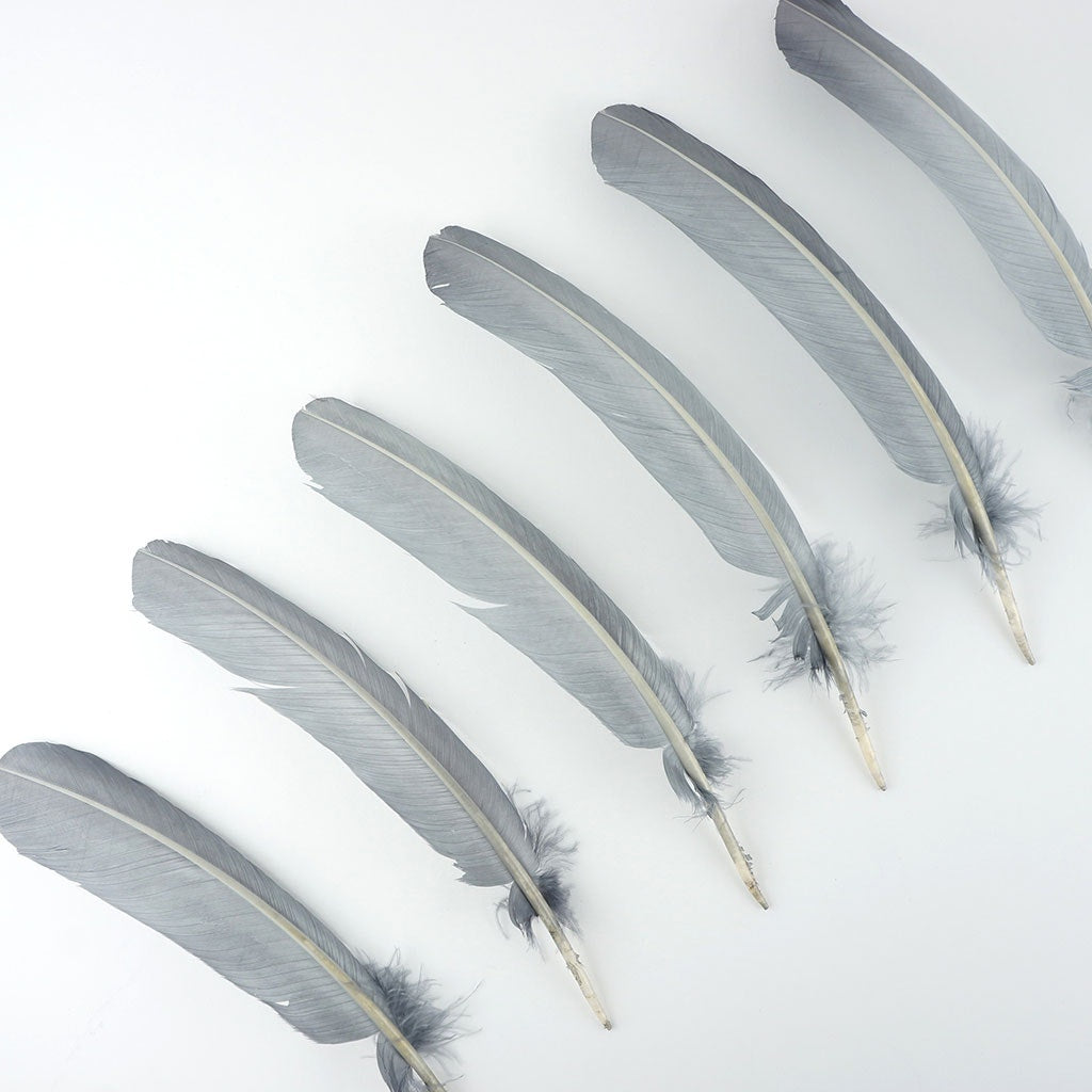 Turkey Quills by Pound - Left Wing - Silver
