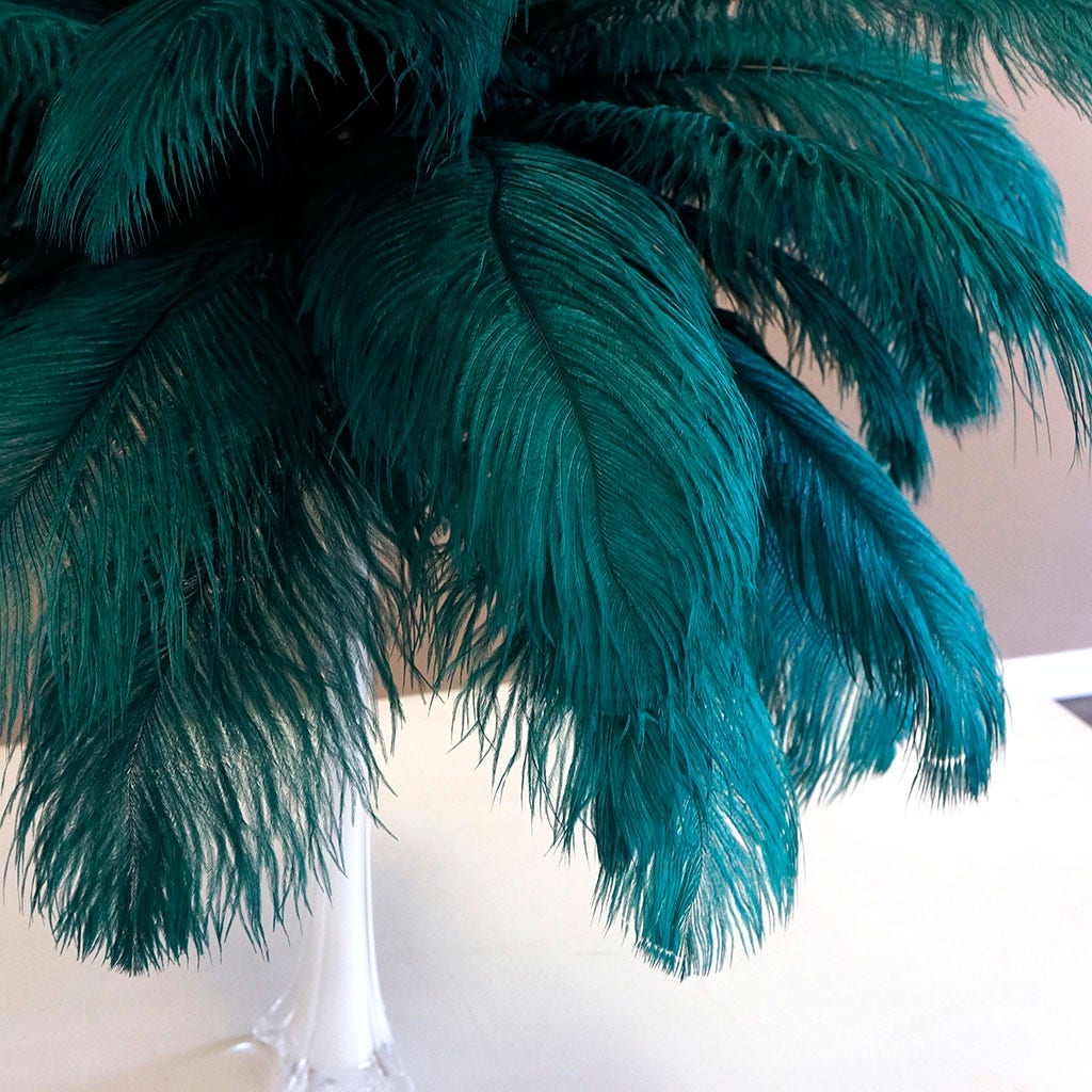 Large Ostrich Feathers - 17"+ Drabs - Teal