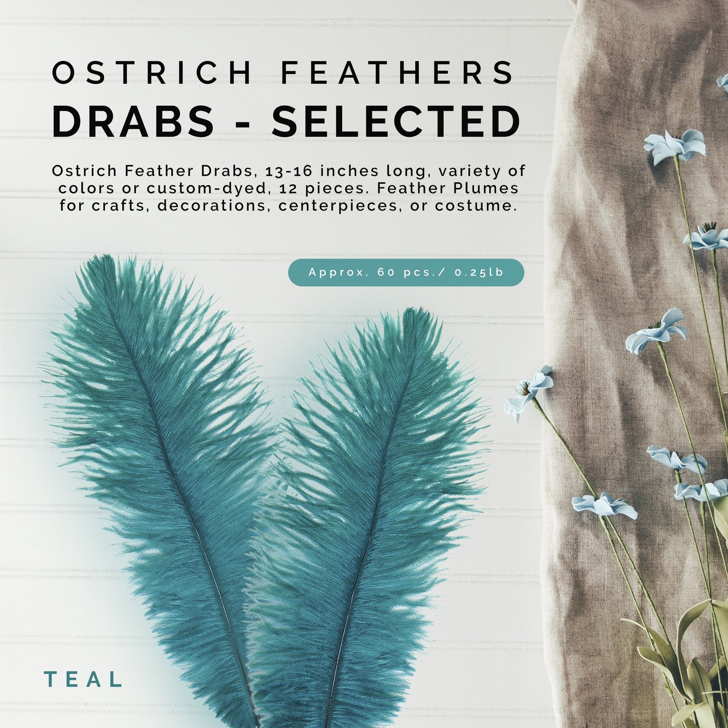 Ostrich Feathers 13-16" Drabs - Teal