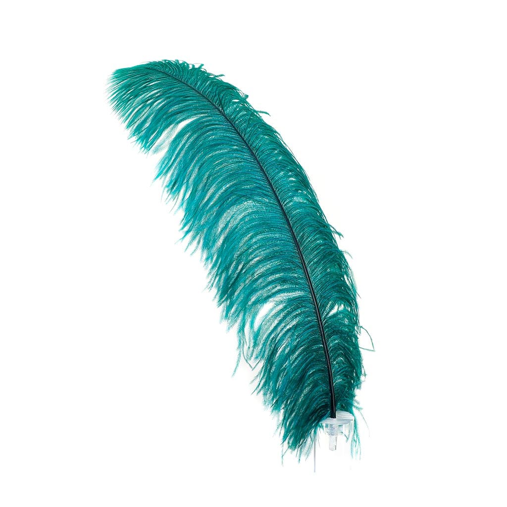 Large Ostrich Feathers - 20-25" Prime Femina Plumes - Teal
