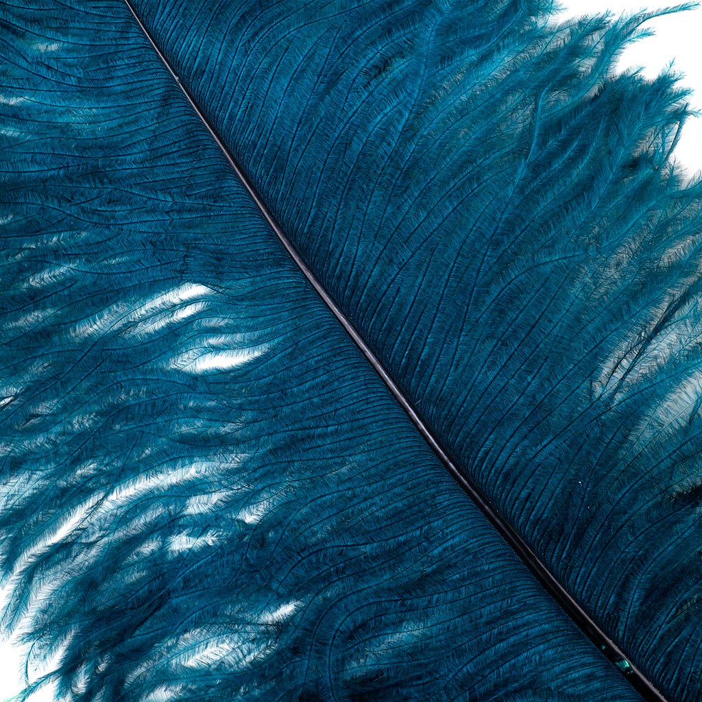 Large Ostrich Feathers - 24-30" Prime Femina Plumes - Teal