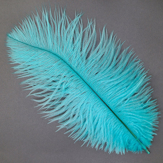 BULK 1/2lb Ostrich Feather Tail Plumes 15-20 (Turquoise) for Sale Online