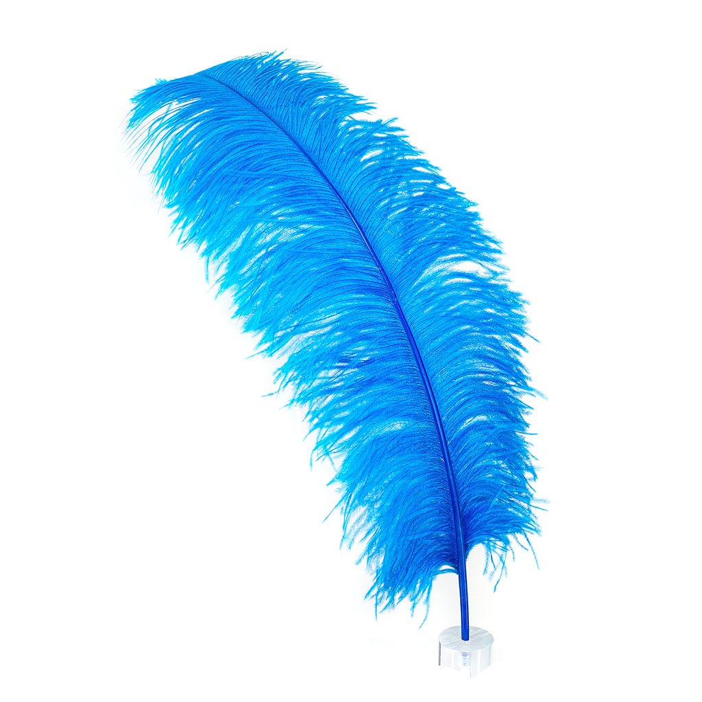 Large Ostrich Feathers - 24-30" Prime Femina Plumes - Dark Turquoise