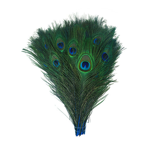 Bulk Peacock Eye Feathers (Full Eye) Stem Dyed - 100 pc - 8-15" -  Dark Turquoise