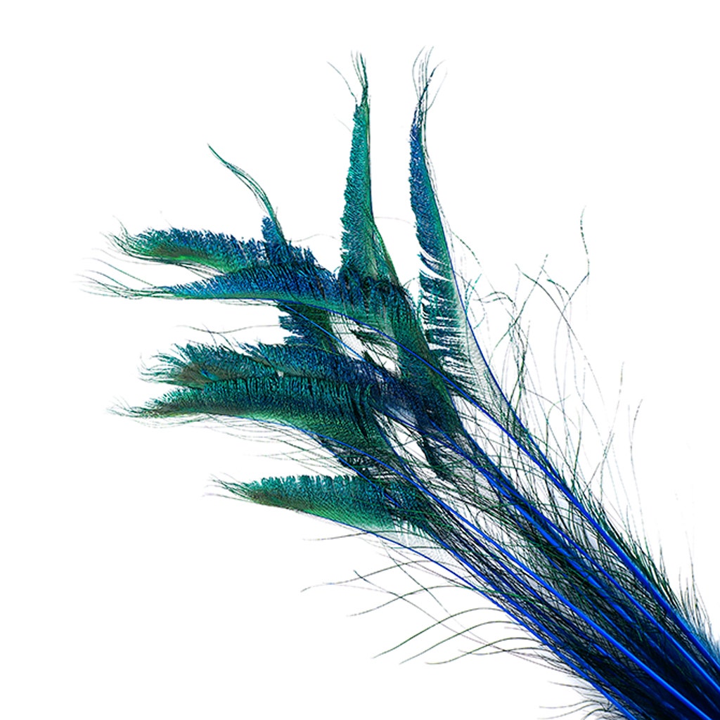 Bulk Peacock Sword Feathers Stem Dyed - 100 pc - 25-40" - Dark Turquoise
