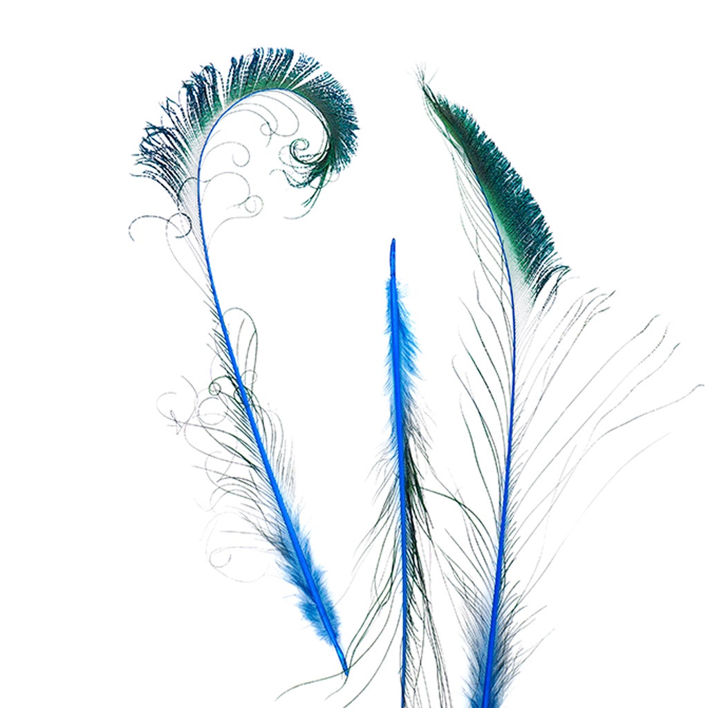 Bulk Peacock Sword Feathers Stem Dyed - 100 pc - 25-40" - Dark Turquoise