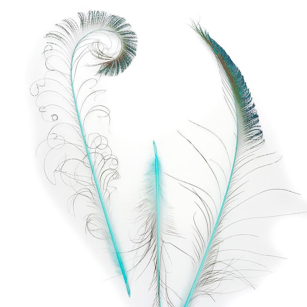 Zucker Feather Products Peacock Swords Stem Dyed Feathers - 25-40 inch - 10pcs - Light Turquoise