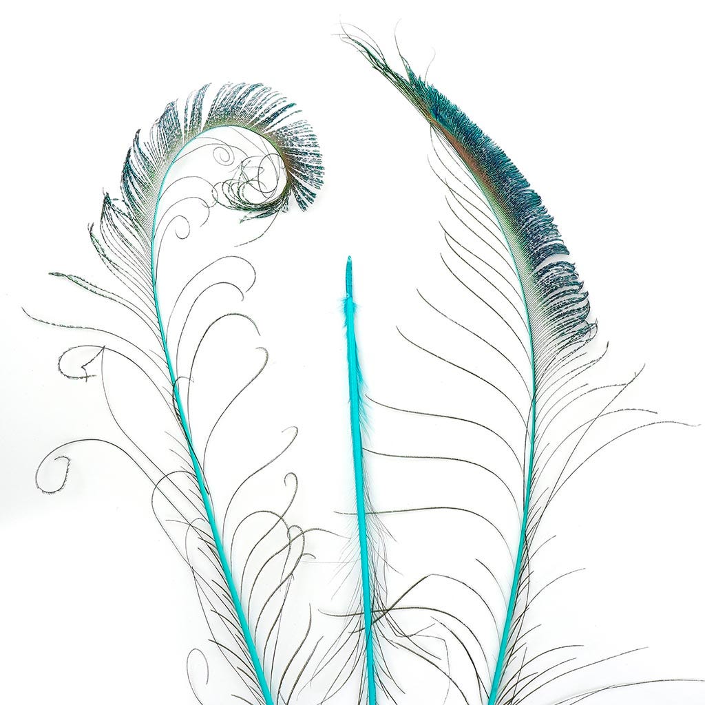 Bulk Peacock Sword Feathers Stem Dyed - 100 pc - 25-40" - Light Turquoise