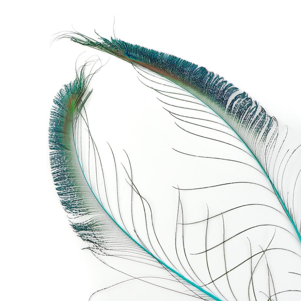Bulk Peacock Sword Feathers Stem Dyed - 100 pc - 25-40" - Light Turquoise