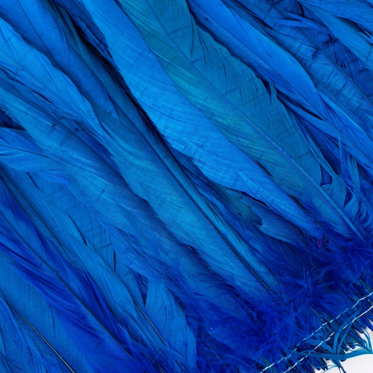 ROOSTER COQUE TAILS FEATHERS BLEACH DYED 7-10” - 1/2 Yard (18") - Dark Turquoise
