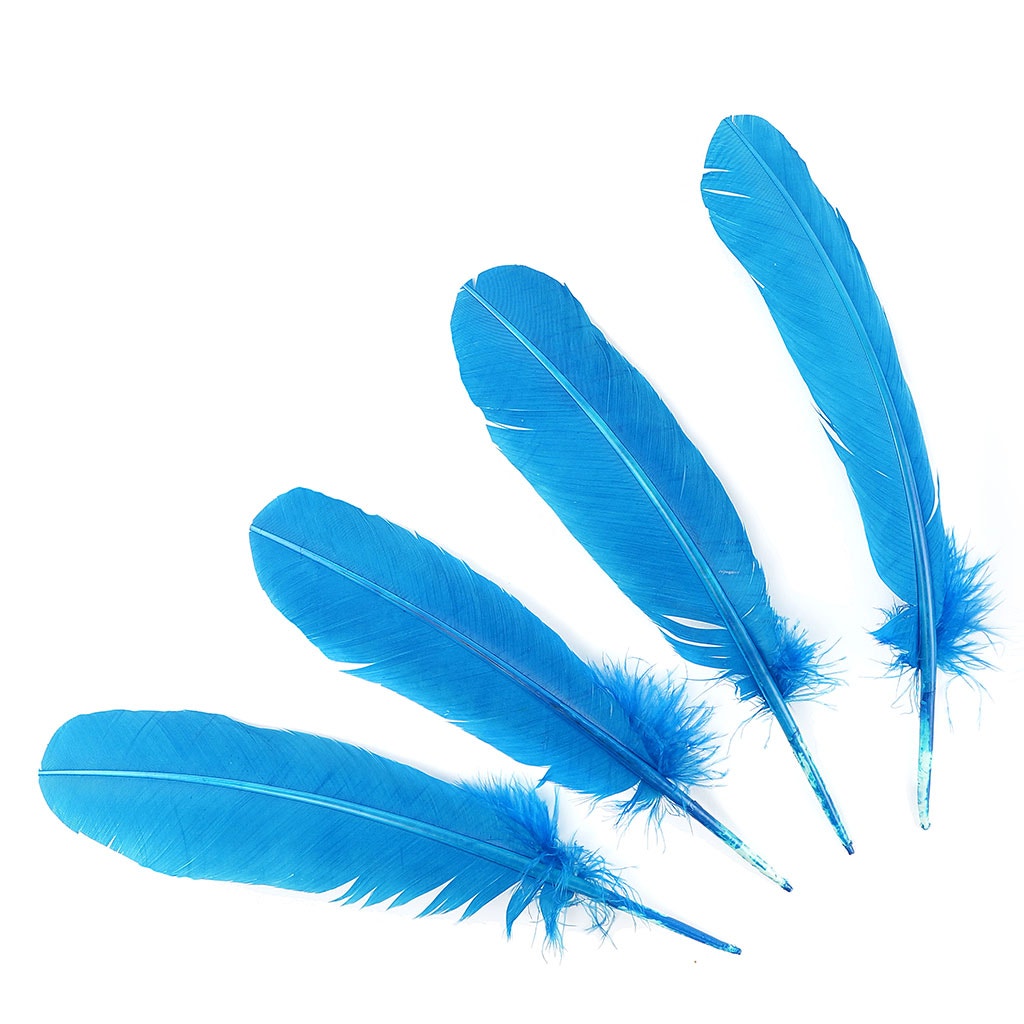 4 PC PKG Large Turkey Quills High-Quality Dyed Feathers 10-12" - Dark Turquoise