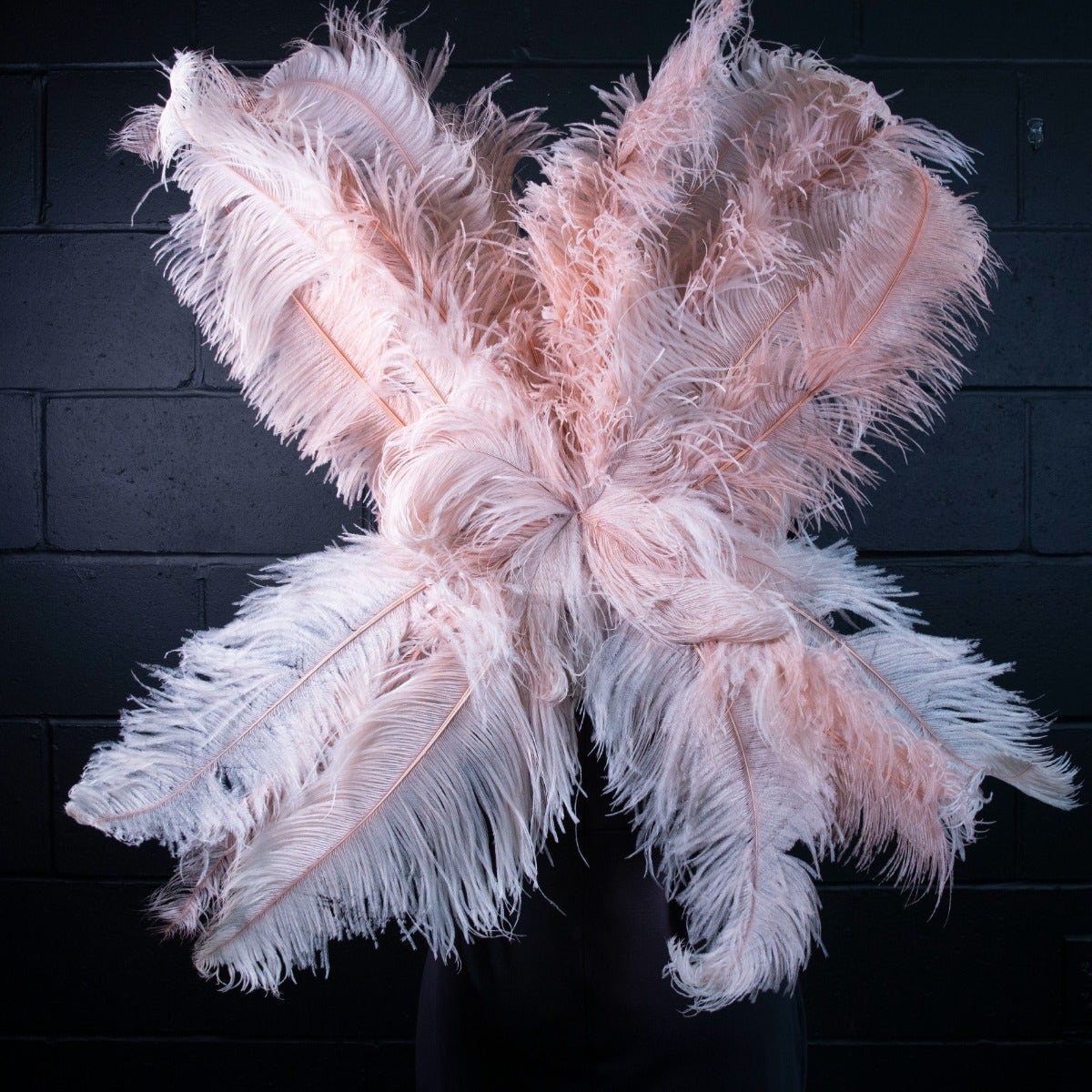 Large Upcycled Ostrich Feather Costume Wings - Champagne