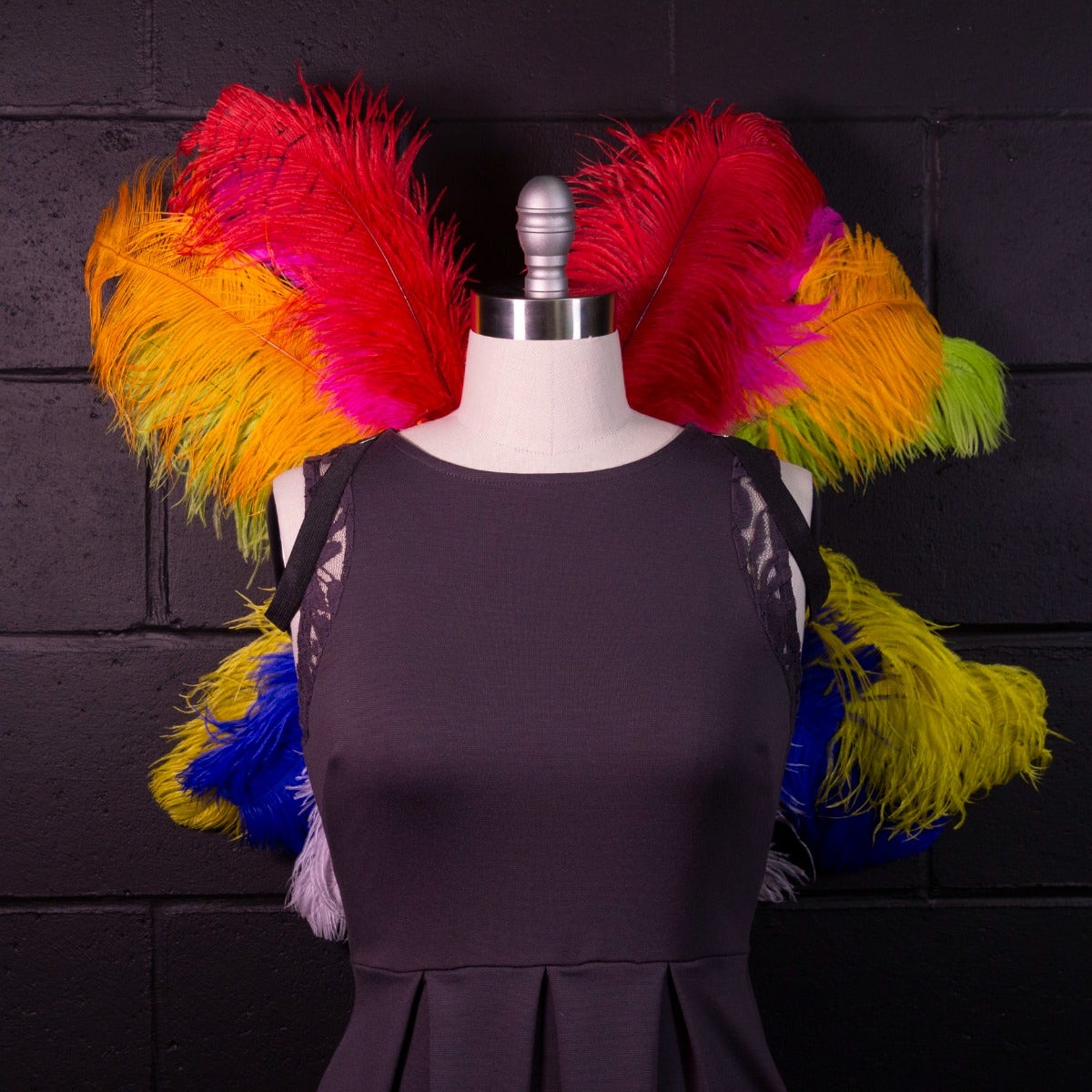 Medium Upcycled Ostrich Feather Costume Wings - Rainbow