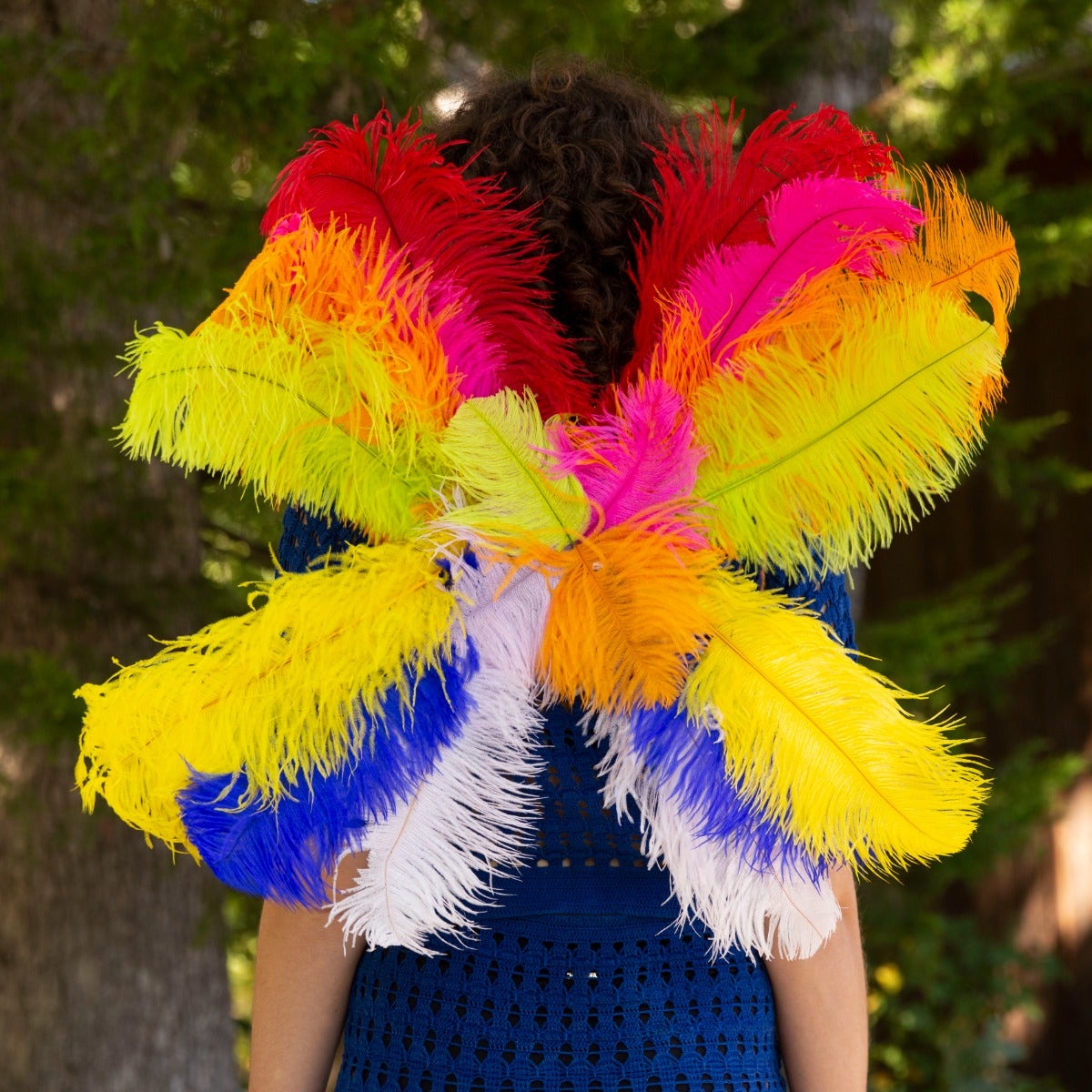 Medium Upcycled Ostrich Feather Costume Wings - Rainbow