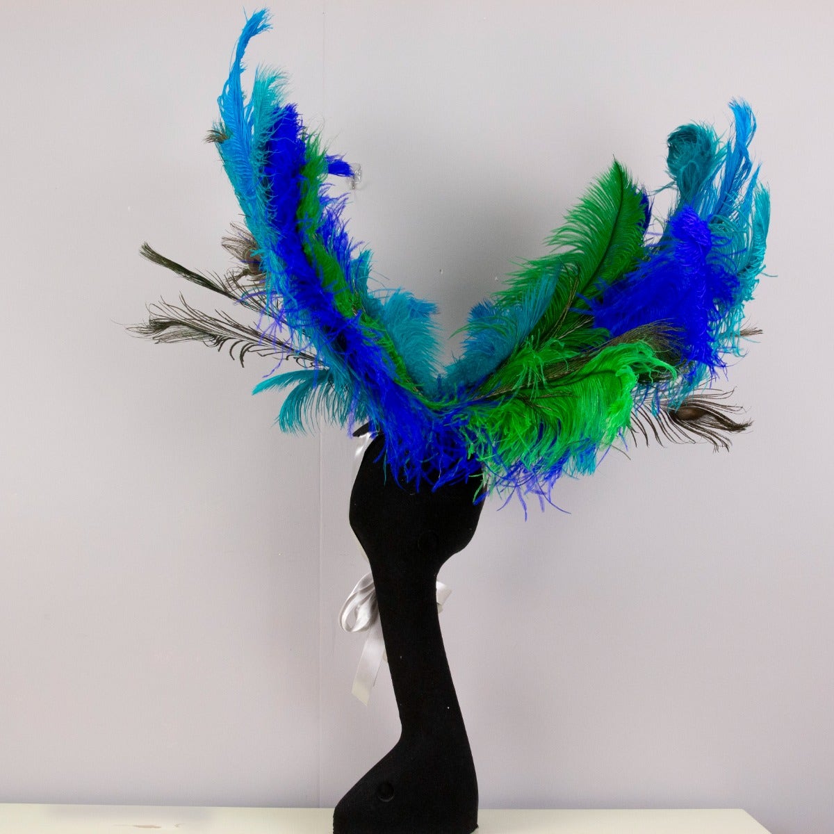 Zucker –Peacock Feathers – Feathers for Crafts