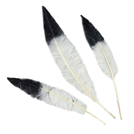 Ostrich Nandu Tipped Feathers Selected - White - Black