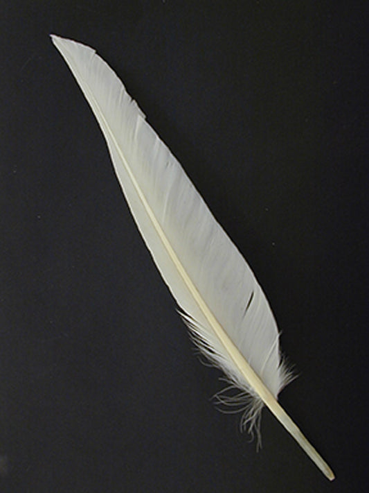Duck Plumage Mallard Brown Feather For Sale  Buy Wholesale Craft Feathers  –  by Zucker Feather Products, Inc.