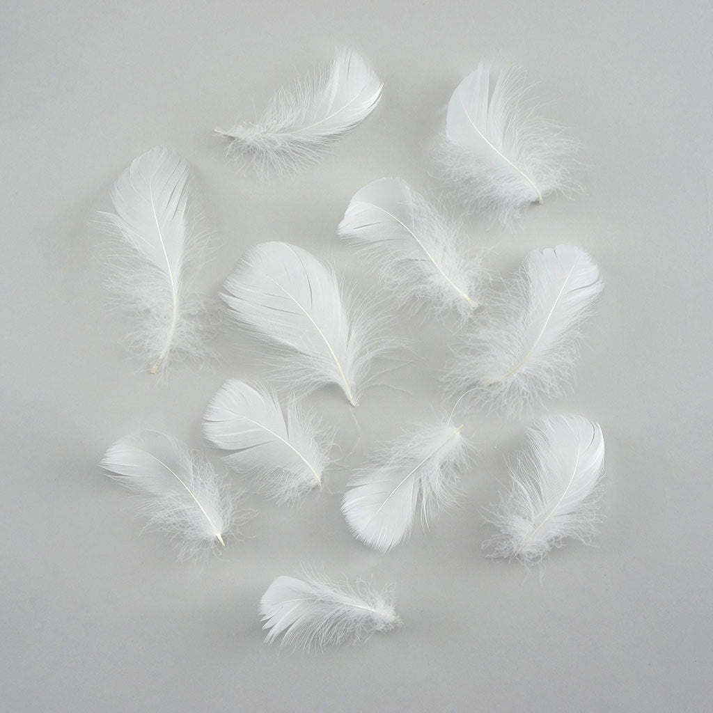 Bulk Goose Coquille Feathers Dyed -  White - 1/4 lb