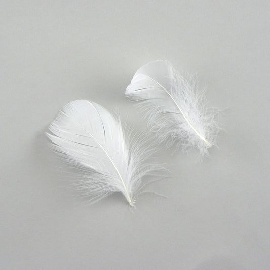 Bulk Goose Coquille Feathers Dyed -  White - 1/4 lb