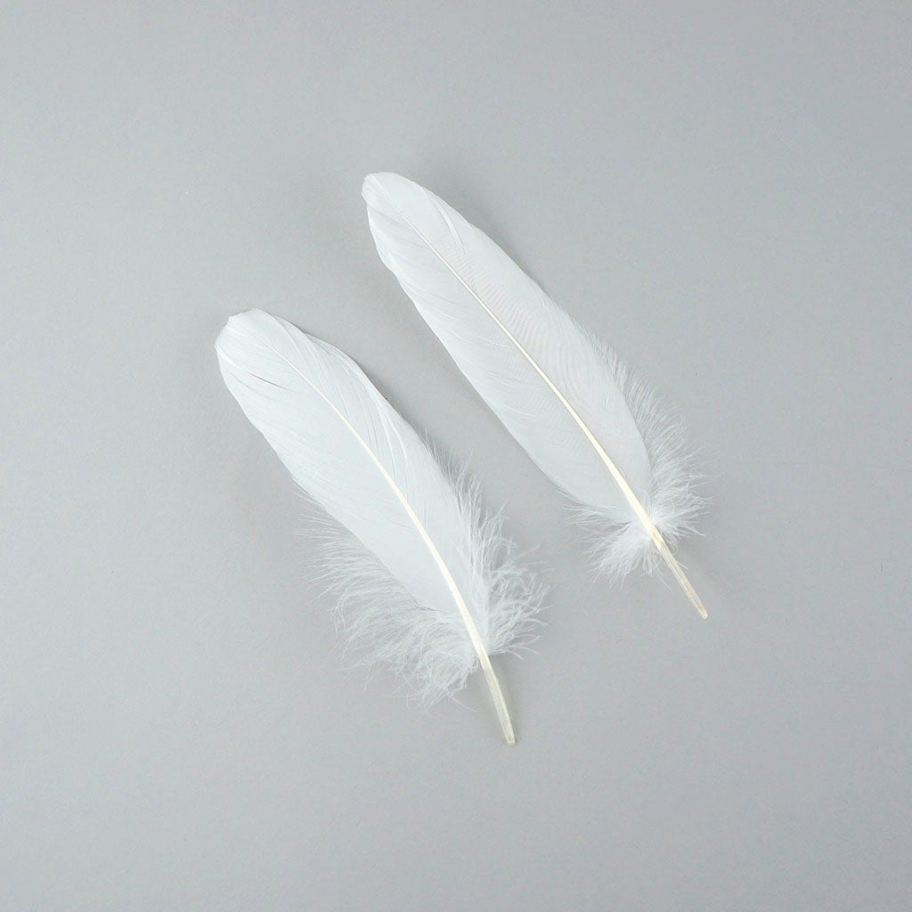 Bulk Goose Pallet Feathers 6-8 Inch - 1/4 LB -  White