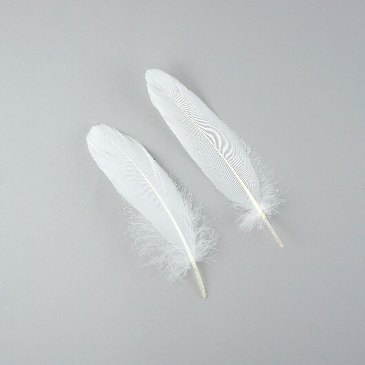 Goose Pallet Feathers 6-8" - 12 pc - White