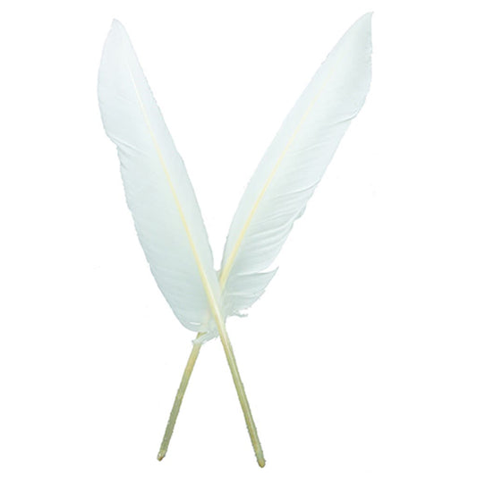 Bulk Mango Goose Pallet Feathers  Buy 6 to 8 Inches Goose Feathers –  Zucker Feather Products, Inc.