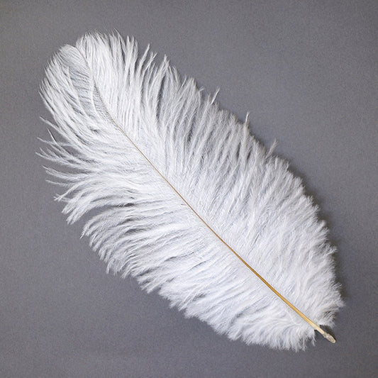 Bulk Gray Ostrich Feathers Plumes 22-24 inches Wholesale Large