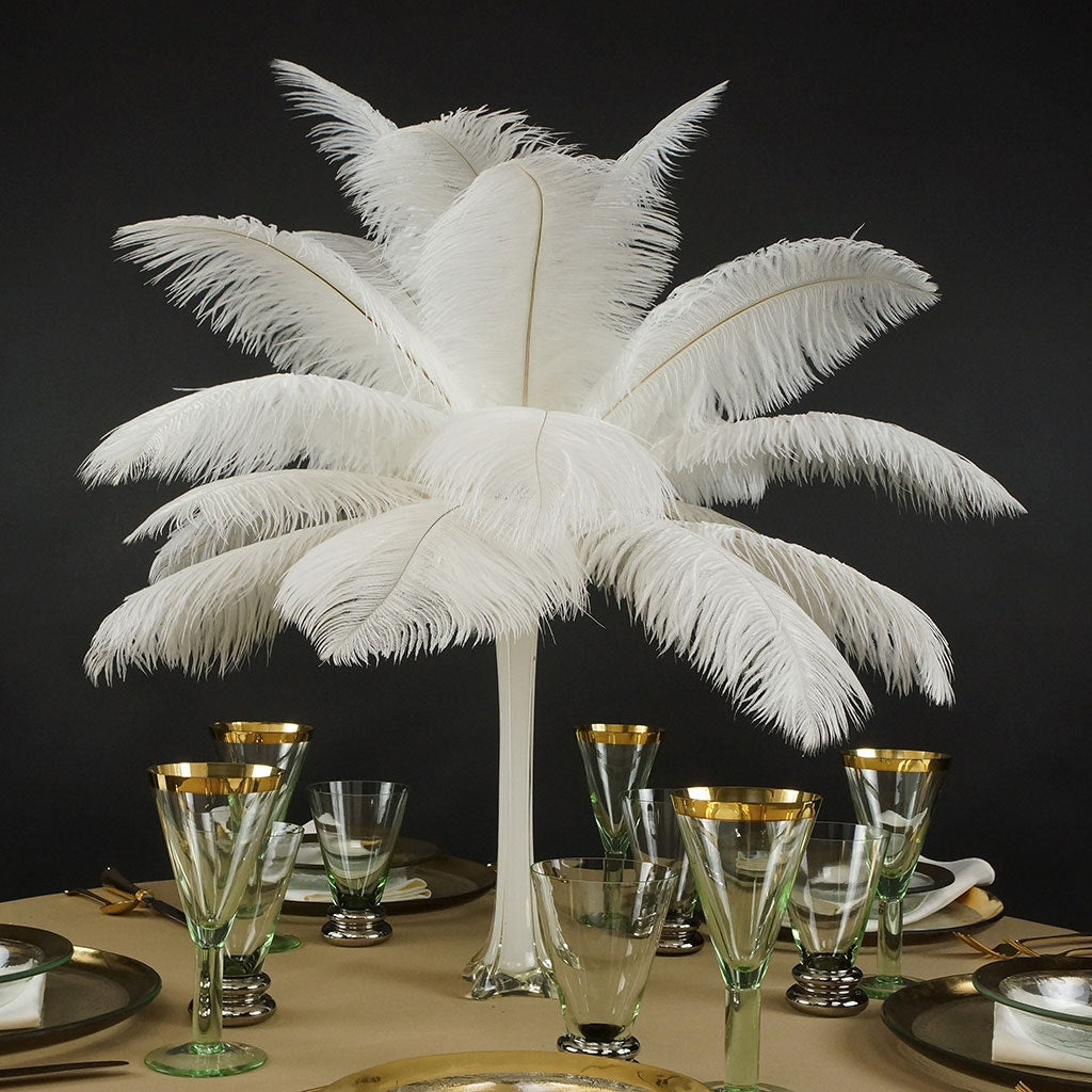 Ostrich Feathers 13-16" Drabs - White