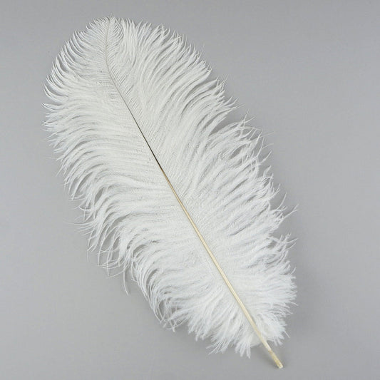Ostrich Feathers 13-16" Drabs - White