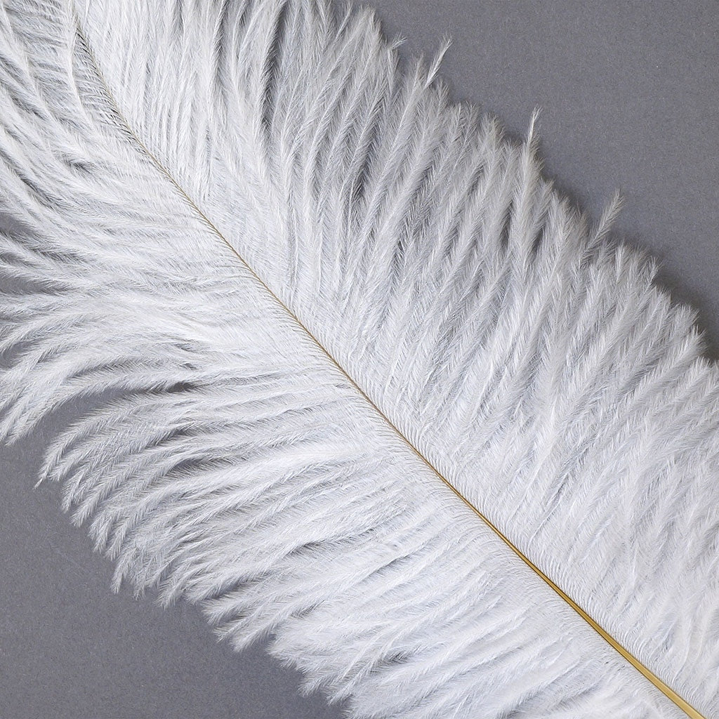 Large Ostrich Feathers - 17"+ Drabs - White