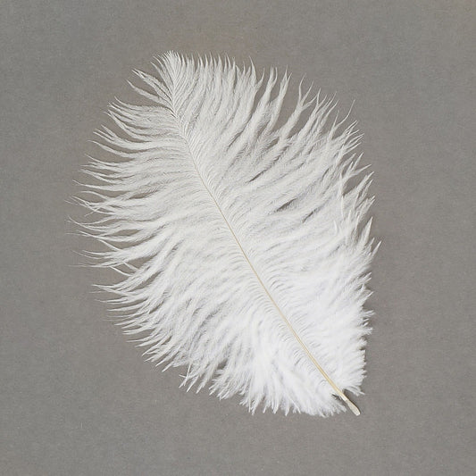 Tiptop Decoration Natural Ostrich Feather (White; 23-25 Inch) (1 Piece) -  Natural Ostrich Feather (White; 23-25 Inch) (1 Piece) . shop for Tiptop  Decoration products in India.